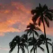 ☆いちろく☆の画像