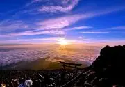 MTの画像