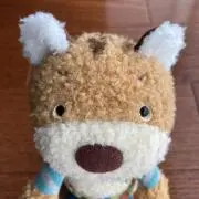 しのの画像