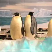 安藤の画像