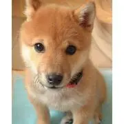 ✩⃛あんず✩⃛