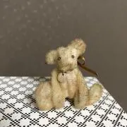 もぐみの画像