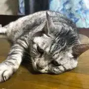 えふたろうの画像