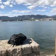 歌丸の画像