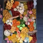 みどりの画像
