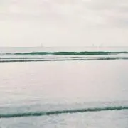 ksksksの画像