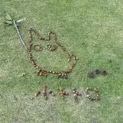 きゃろっとの画像