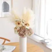 naoの画像