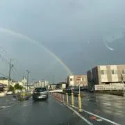 ミモザ✴︎