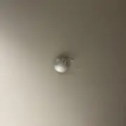 626号''❤︎''の画像