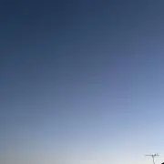 かいの画像