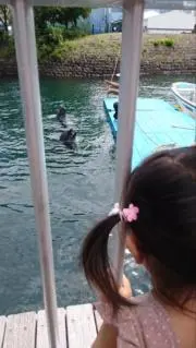 かおるの画像