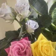 ブルー☆