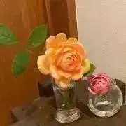 さきゃこの画像