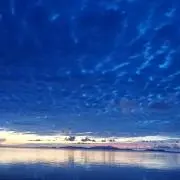 くまもんの画像