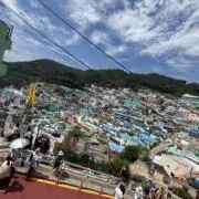 しゅごの画像