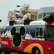 Pino