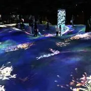ぱうだー✿の画像