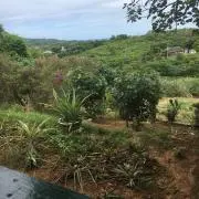 minminの画像