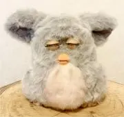 fzoの画像