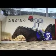 かず