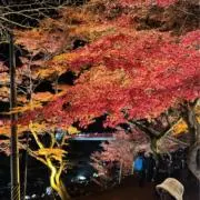 みおの画像