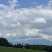 ちゃまの画像