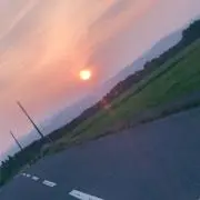 とくちゃんの画像