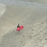 ナルーの画像