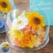 flower⭐︎の画像