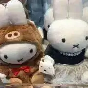 まるまるの画像