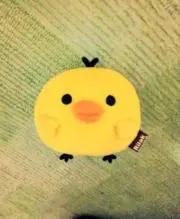kiiroの画像