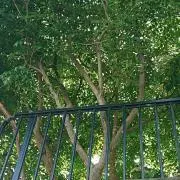MTの画像