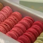 chocochocoの画像