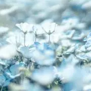 春の画像