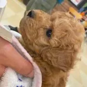 なっちゃんの画像