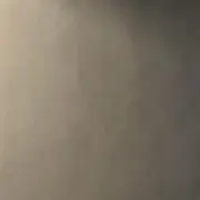 Rの画像