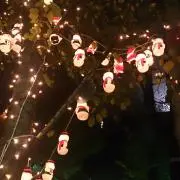 ひっち