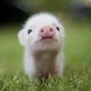 ちゃんみぃー