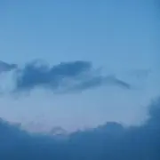 saの画像