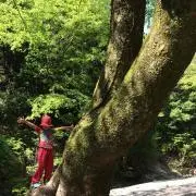 かなへい