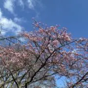 x_ny.8の画像