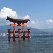 PFCの画像