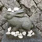 pengzi828の画像