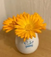 ビーチの画像