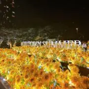 もずく