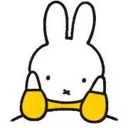 おもちの画像