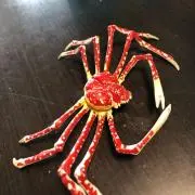 エンベンジジの画像