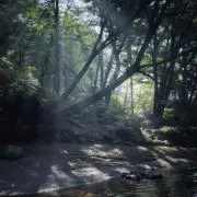 decooの画像