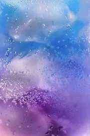 kaoru.takahasi